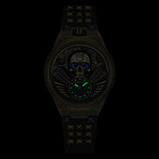 STORM RIDER BRONZE
