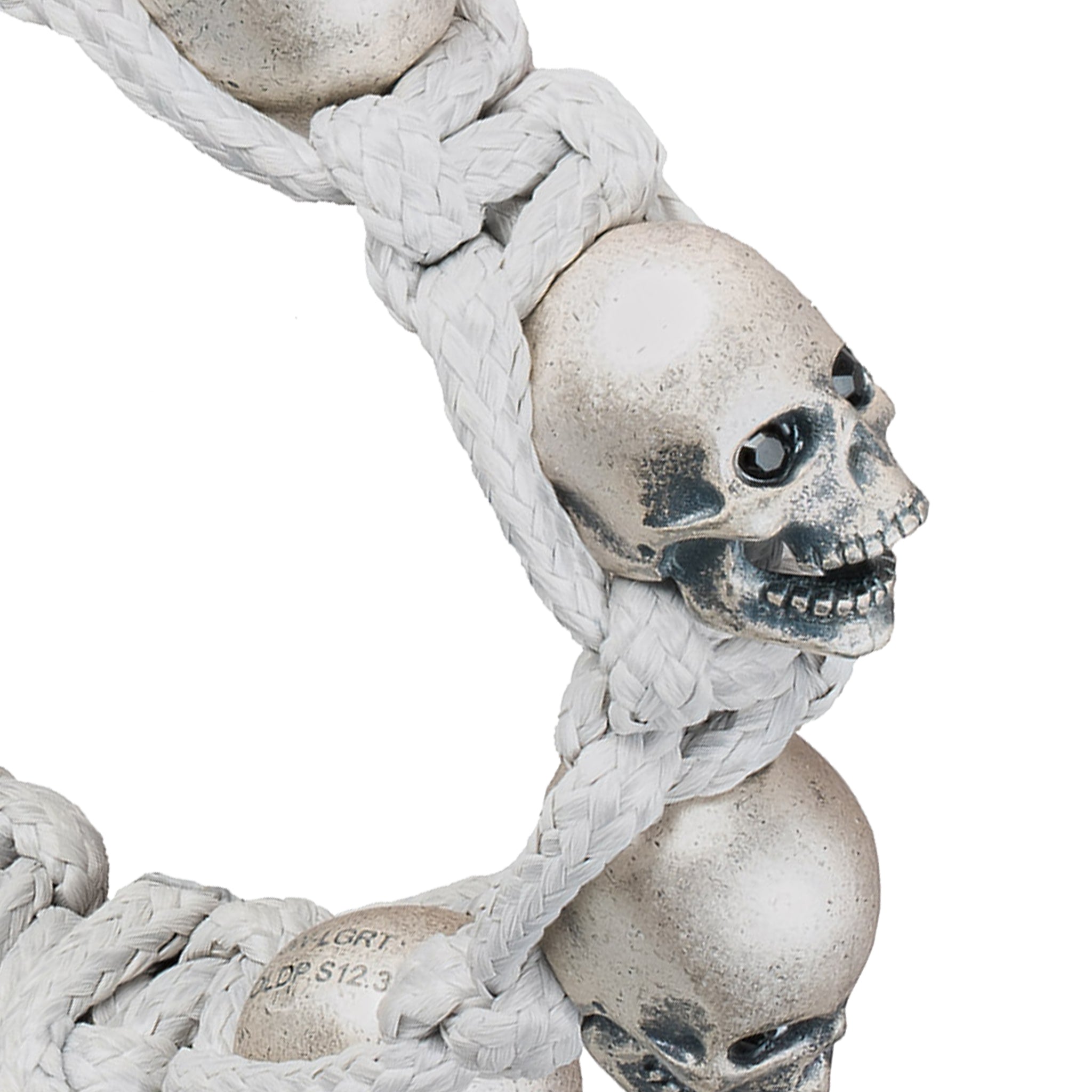 JW-LGRT-OLDP.S12.3sKULL.jpg